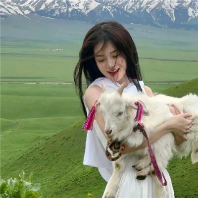 小石头
