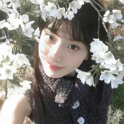 悠久之翼第二季